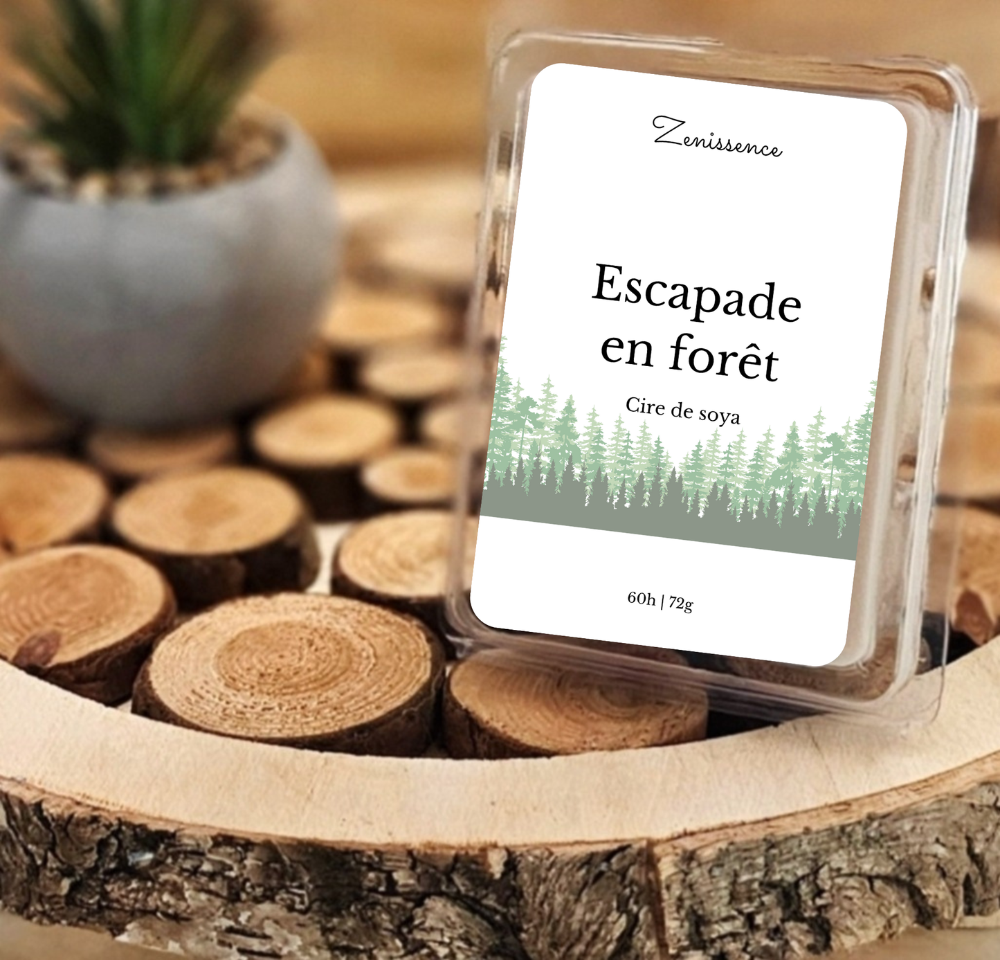 Cubes de cire - Escapade en forêt