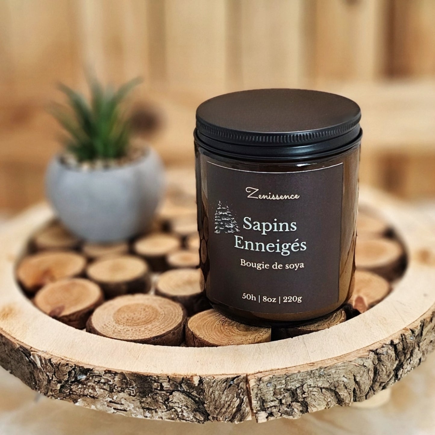 Sapins enneigées