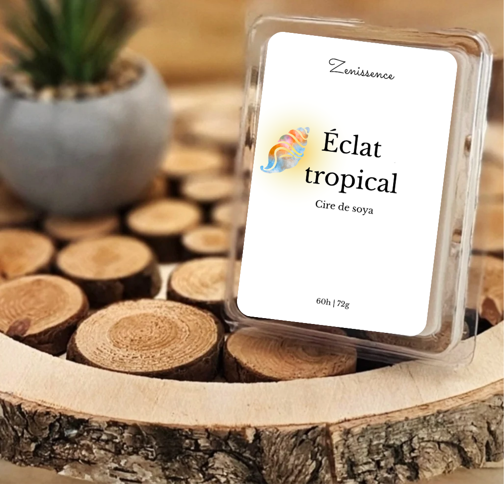 Cubes de cire - Éclat tropical