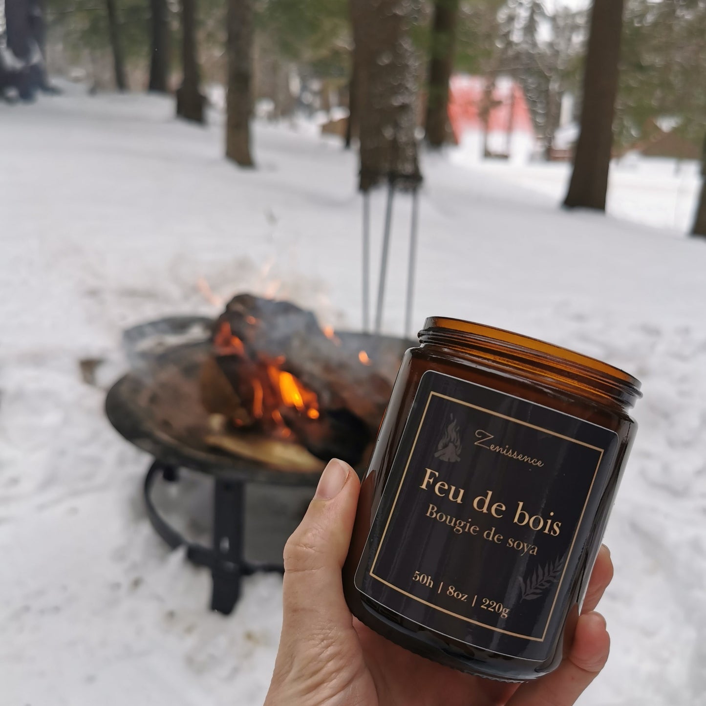 Feu de bois