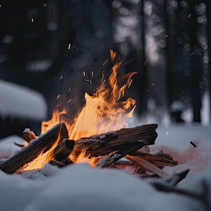 Feu de bois