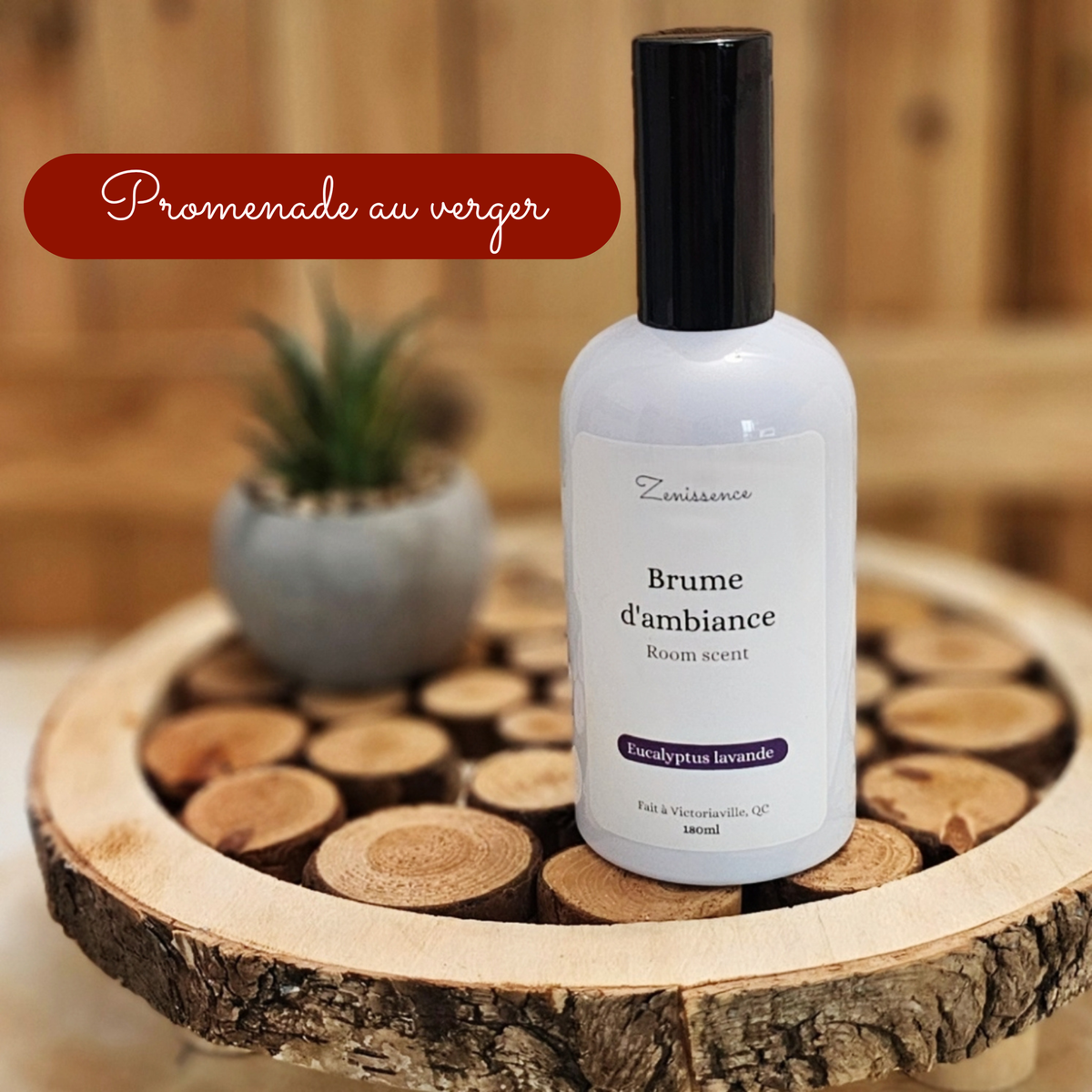 Brume - Promenade au verger